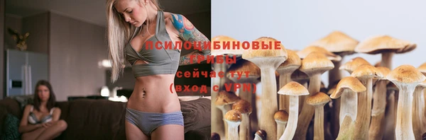ECSTASY Пролетарск